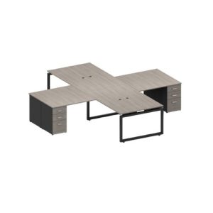 MODULO X