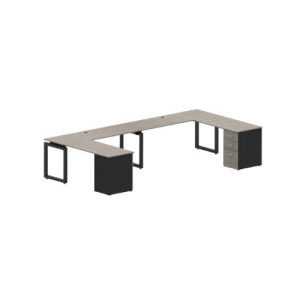 MODULO C